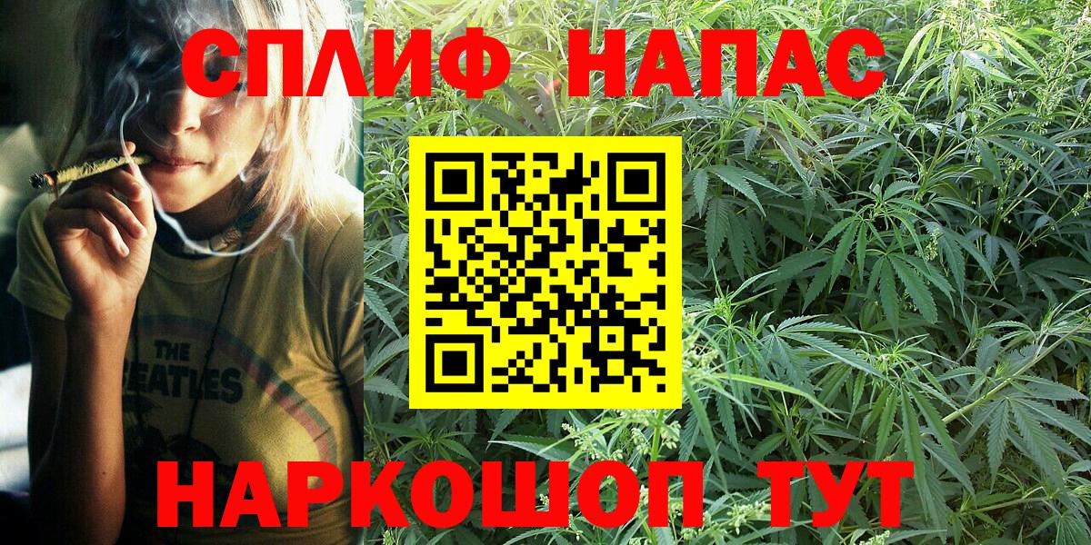 Бошки Шишки семена  Бошки Шишки марихуана  Губкин  Вход с VPN 